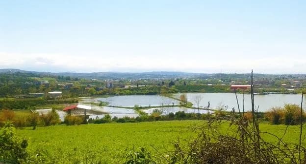 خنک ترین شهرهای شمال برای سفر در بهار و تابستان