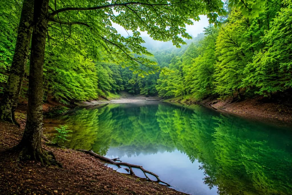 دریاچه چورت؛ نگین پنهان مازندران در قلب جنگلهای هیرکانی دریاچه چورت؛ نگین پنهان مازندران در قلب جنگلهای هیرکانی